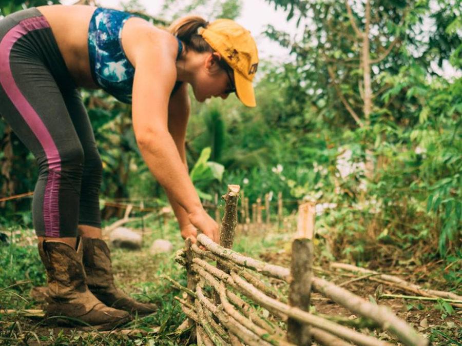Paige Myers, junior in global resource systems, builds a living fence for a raised garden bed while interning at Kalu Yala in Panama. The stakes will eventually regrow into small trees.