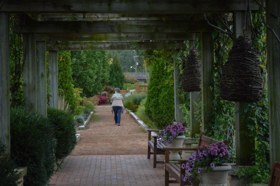 A woman takes a stroll through Reiman Gardens on free admission day. Reiman Gardens offers free admission to the public every second Wednesday of the month.