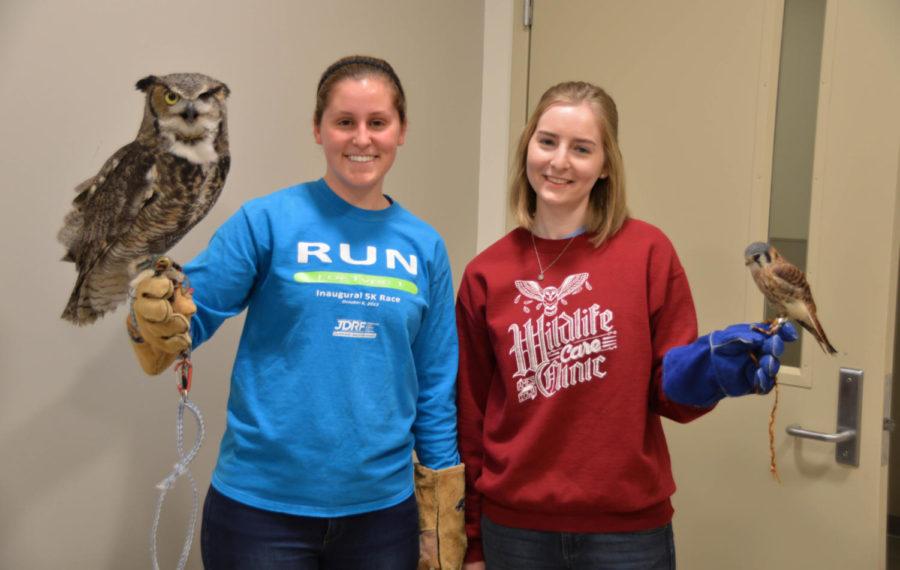 Amanda Bowen, junior in animal science and Mary Masek, senior in animal science pose for a photo with two of the permanent animals of the Wildlife Care Clinic. Bowen (left) holds Harvey the Great Horned Owl, and Masek (right) holds Kessie the American Kestrel. 