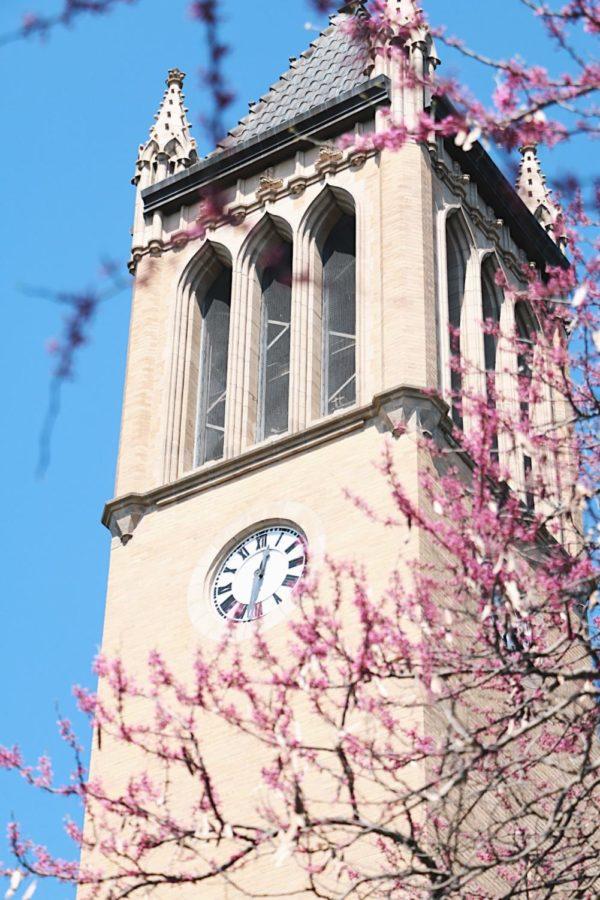 Redbud+trees+are+prevalent+across+campus%2C+particularly+in+front+of+the+Campanile.%C2%A0
