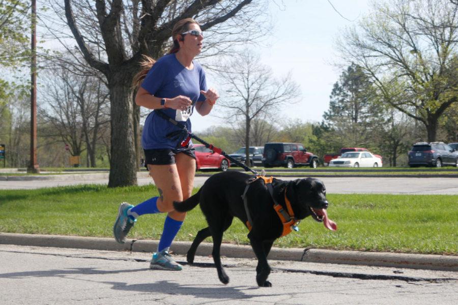 A runner approaches the finish line during the 34th Annual SCAVMA Scamper. The race was held at the College of Veterinary Medicine on April 22.  