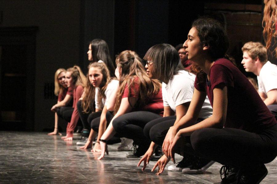 ISU hip hop club, DubH rehearses for their upcoming spring show. This year marks the clubs 15th anniversary and will take place in Ames Auditorium on April 7 at 7pm. 