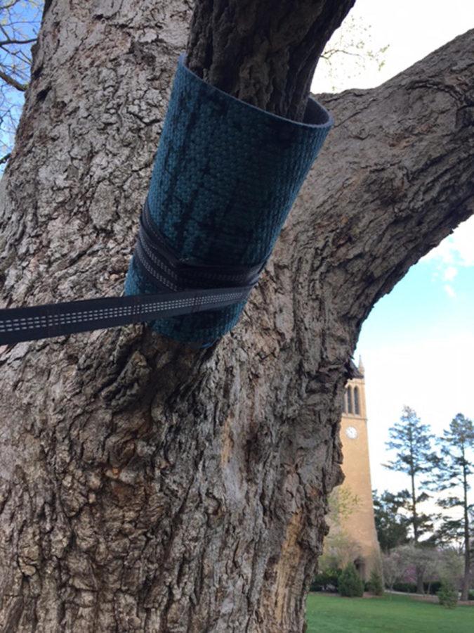 A carpet square is used to provide a buffer between the stress of a hammock strap against a tree on the Iowa State campus.
