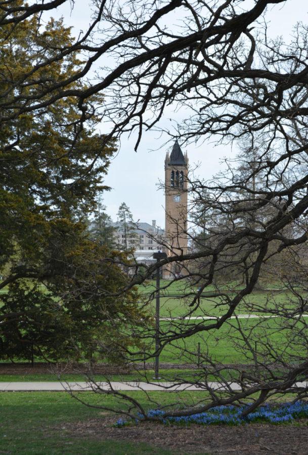 The+Campanile+is+framed+by+a+tree+outside+Catt+Hall+on+April+9.