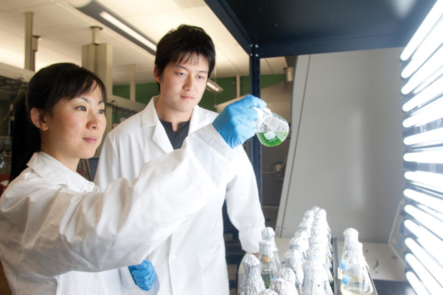 Yi Liang and Yitian Sun examine beakers of algae Sept. 21, 2011. The lipids extracted from the algae are helping to make a renewable biofuel they are working on creating in the Hybrid Processing Laboratory in Iowa States new Biorenewables Research Laboratory.  
