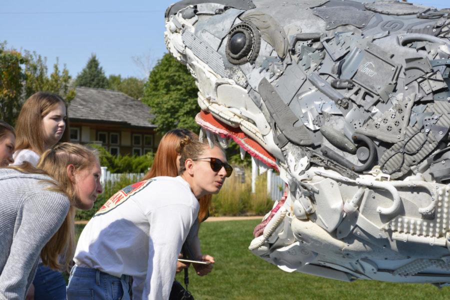 Students from an Ames High School art class examine the inside of Greta the Great White Sharks mouth at Reiman Gardens on Sept. 11. This sculpture is a part of the Washed Ashore Sculpture Exhibit designed by Angela Haseltine Pozzi which uses plastic debris as the main textile.