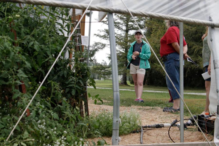 The green houses contain tomatoes and various types of peppers. 