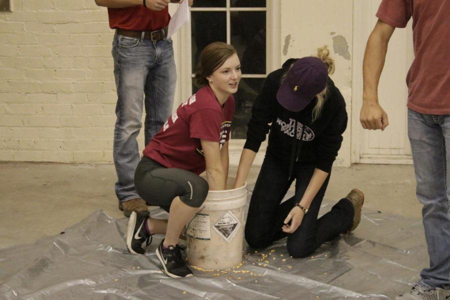 Junior Macy Marek and freshman Krista Bosanac look for objects in a bucket of corn for CALS Olympics on Oct. 3 in Kildee Pavilion. 