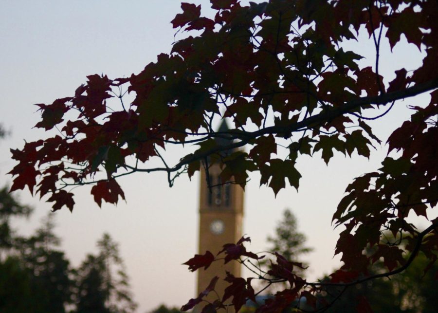 Leaves+change+color+by+the+campanile.%C2%A0