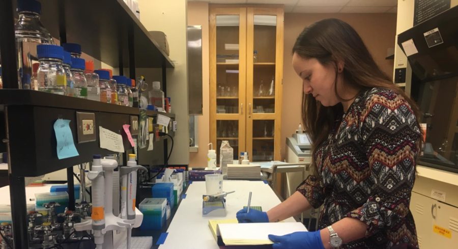 Lauren Laboissonniere works in her lab at the Molecular Biology building, studying ALS in mouse models. Her goal is to find a biomedical marker to target the disease in cells to develop a treatment.