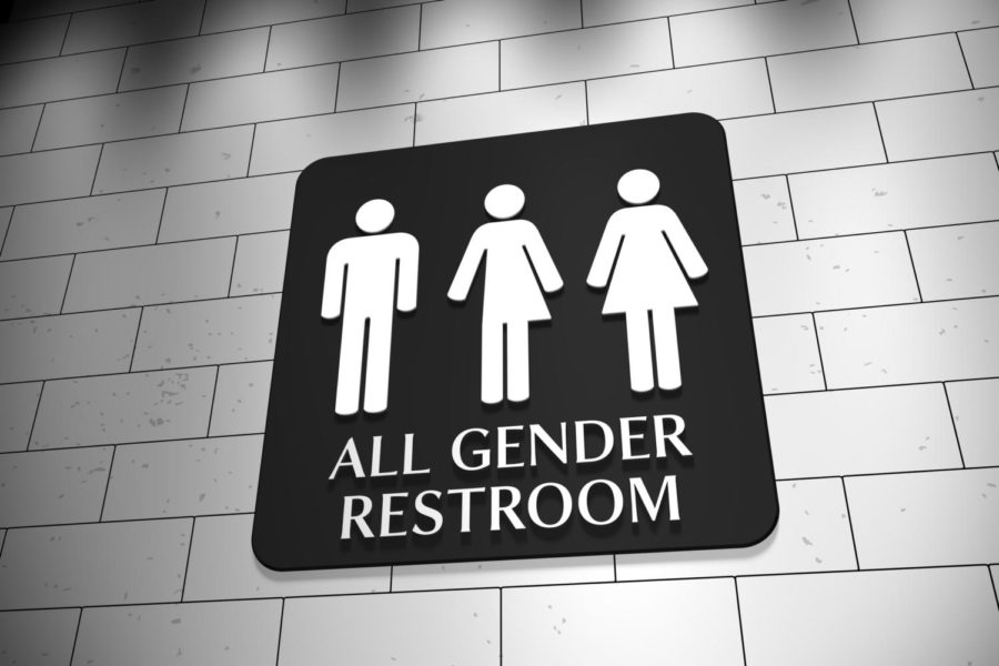 The new bathroom bill introduced in the Iowa Senate is leading to concerns over the safety and discrimination against trans individuals. 