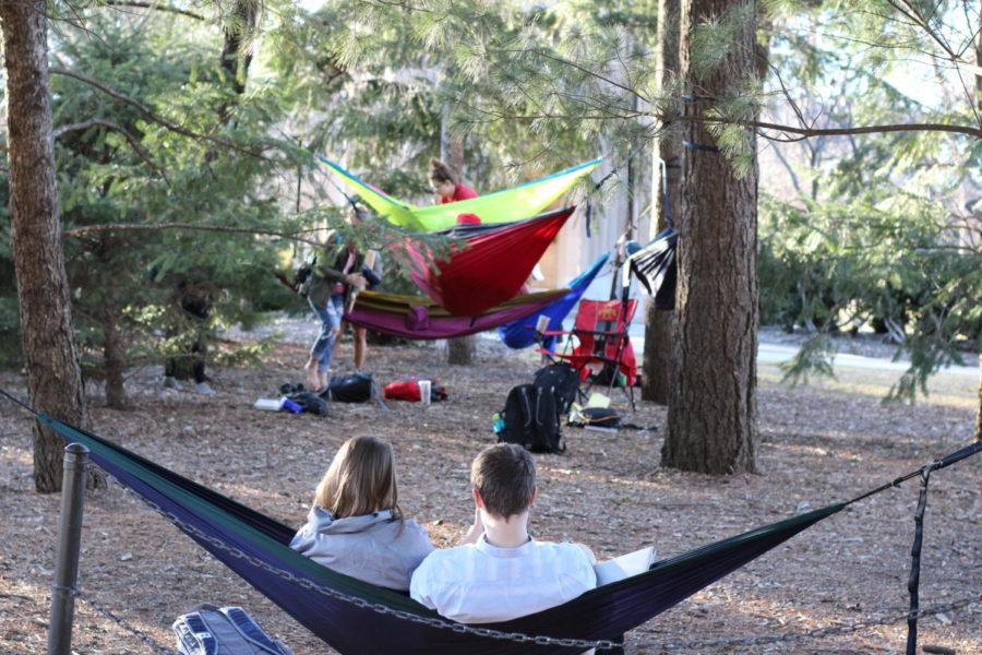 Two+students+sharing+a+hammock+watch+as+other+students+also+hammock.