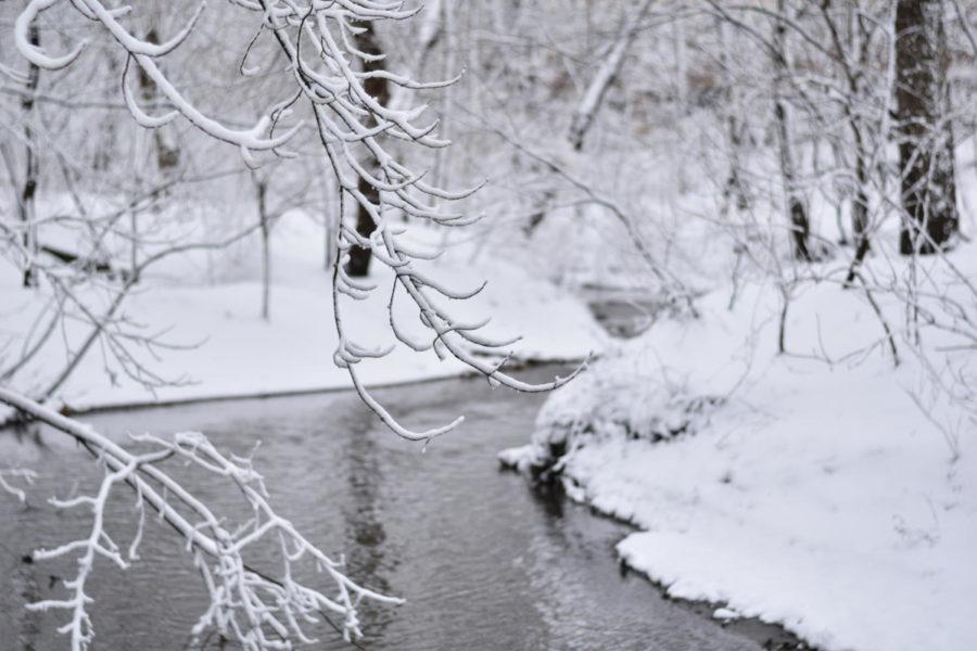 College Creek looking picturesque after the Spring snowfall on March 24, 2018.