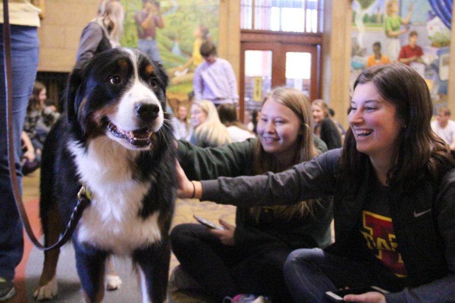 Iowa State students playing with dogs at Parks Library during the annual dead week tradition Barks at Parks on Dec. 6.
