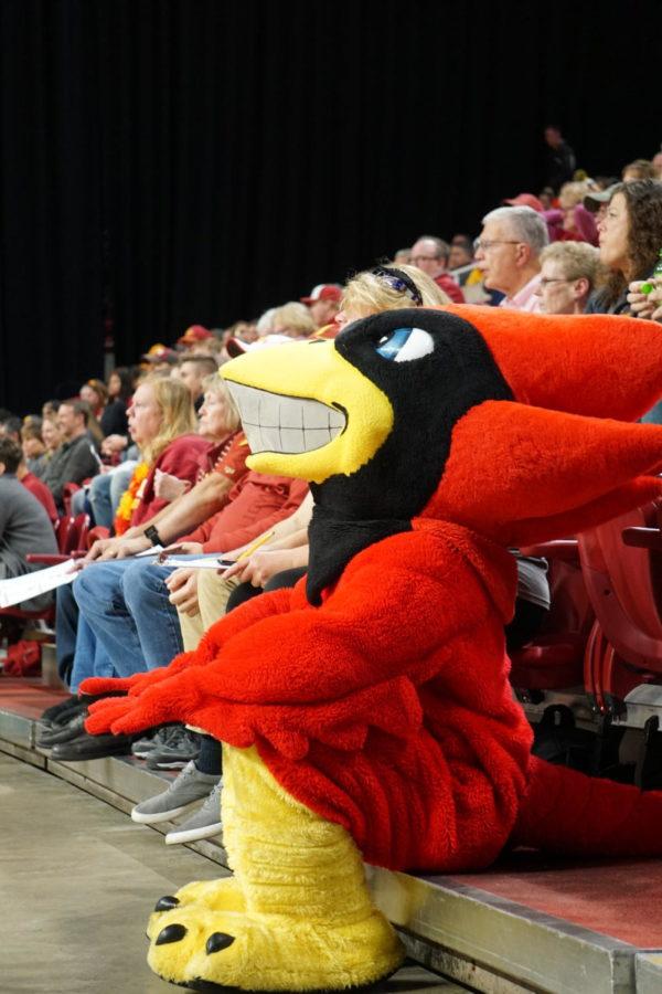 Cy the Cyclone spent some time watching the ISU-KU volleyball game with the crowd on October 28th.
