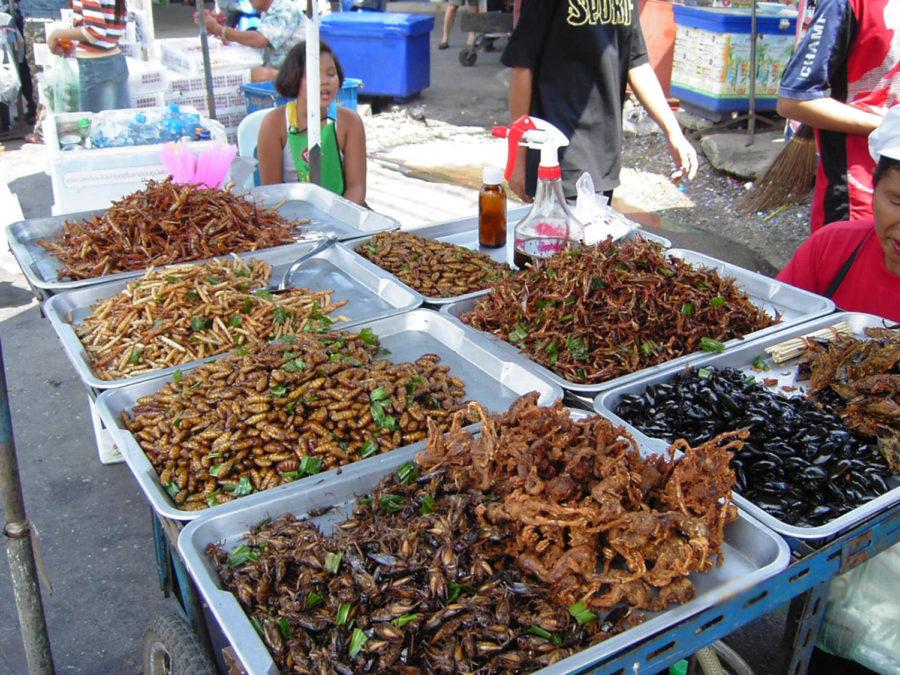 Insect food stall USE THIS PHOTO