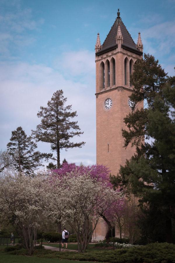 Spring+flowers+begin+to+bloom+across+campus+as+the+weather+warms+up+and+an+increase+in+rainfall+is+observed.