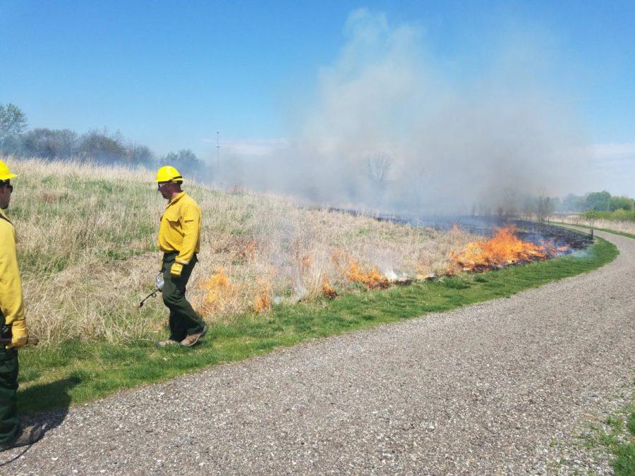 One Ames Parks and Recreation worker spreads the fire with a drip torch at Ada Hayden Historical Park.