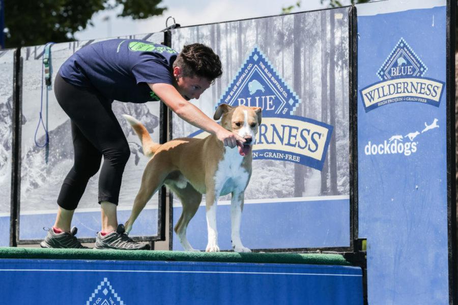 Dogs of all breeds compete in Ames' Annual Fourth of July Dock Dogs Competition June 3.