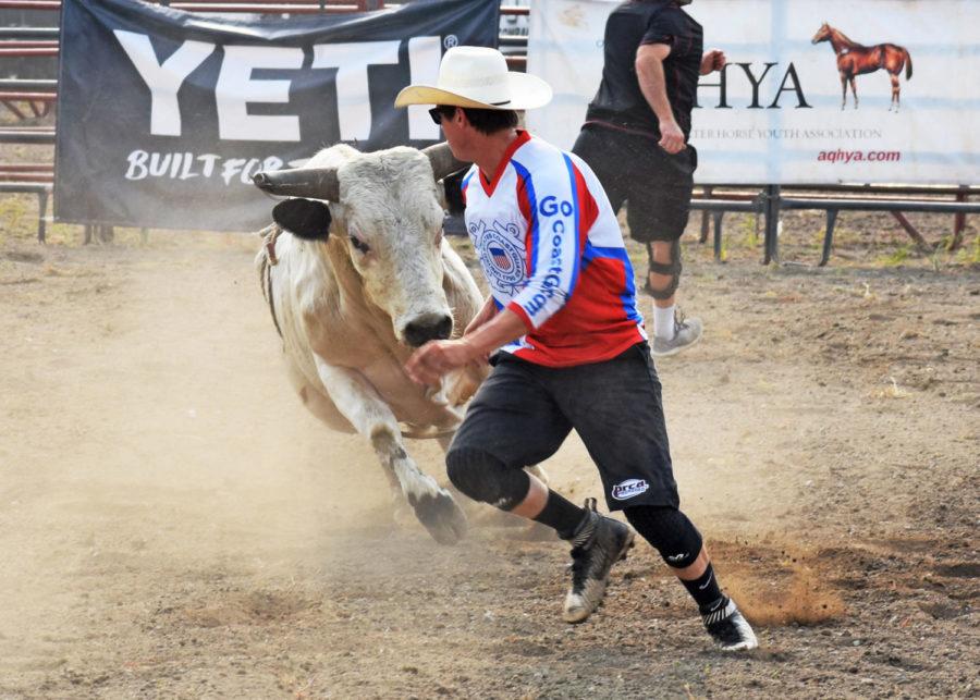 A bullfighter tries to distract the bull.