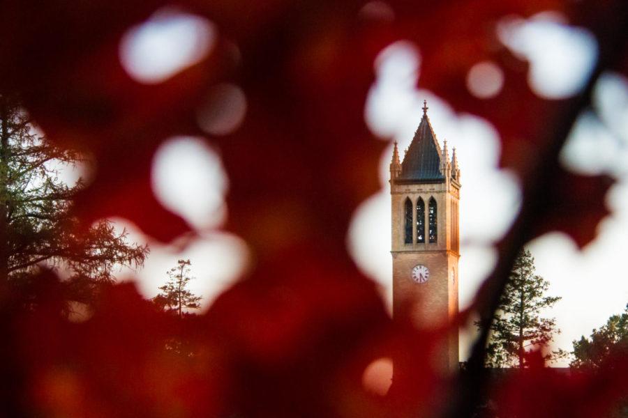 The campanile peaks through fall leaves during the evening on Oct. 12. As the seasons change, the trees on central campus start to show their fall colors. 