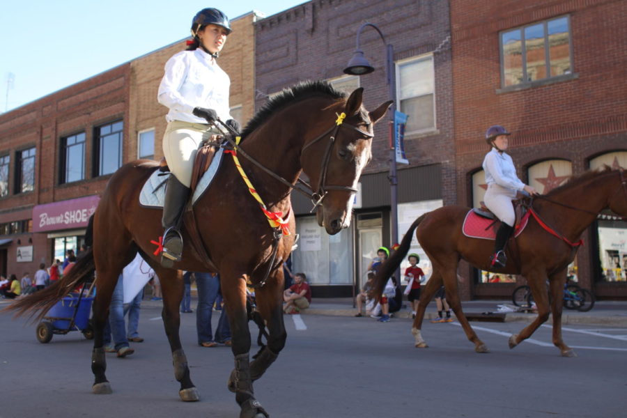 An equestrian member rides her horse leading the College of Agriculture and Life Sciences at the Homecoming parade on Oct. 23 at 2p.m. 