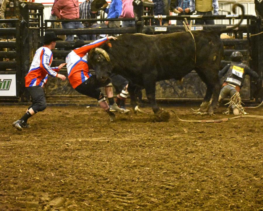 Bull+fighters+take+a+blow+to+protect+the+bull+rider.