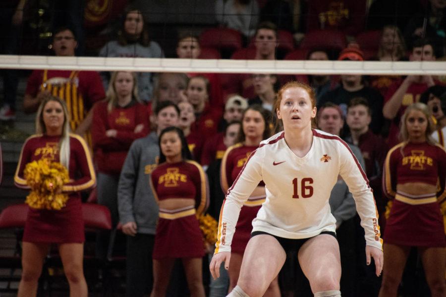 Cyclone volleyball player Hali Hillegas in position for the serve Oct. 24 at the Hilton Coliseum. The Cyclones lost 3-0 to Texas. 