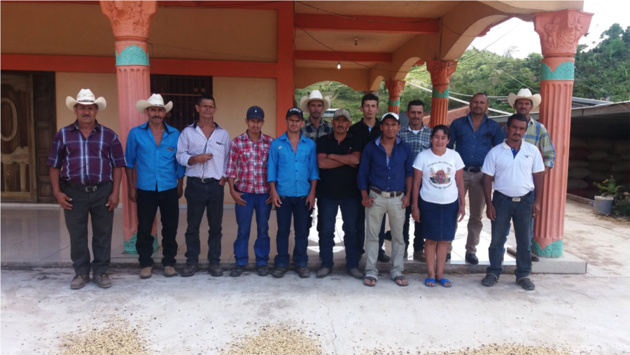The Honduras farmers benefiting from the Café Hacia El Futuro Cooperative. The pickers currently work in El Zopote, Copán, a region within Honduras.