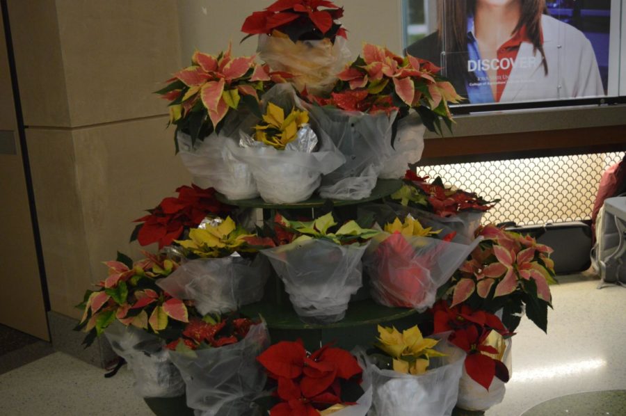 The horticulture club hosted a poinsettia sale in Curtis Hall on Nov. 28. Proceeds of the sale go towards the Horticulture Club, funding club activities, contest expenses and student enrichment.The poinsettias are available in five different colors and will be sold through Dec. 1. 