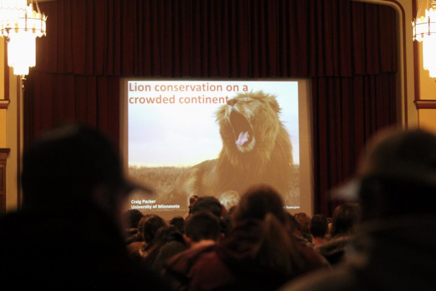 A capacity crowd in the Memorial Unions Great Hall awaits a lecture from Craig Packer, director of the lion research center at the University of Minnesota on Nov. 27. 