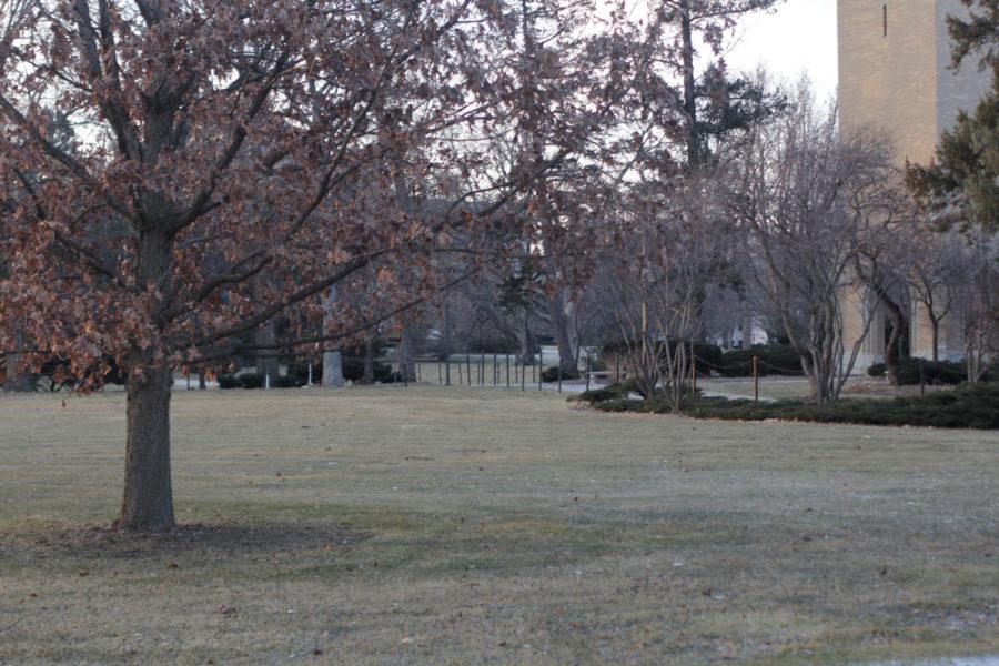 The frozen grass on Iowa States central campus is visible this winter due to lack of snow despite low temperatures.