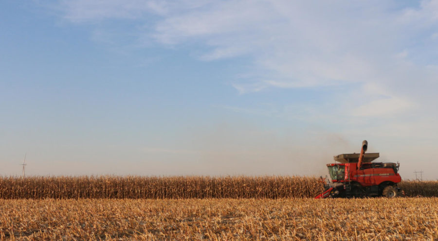 A combine harvests corn on Oct. 21, 2017. Combines are only able to run for about 10 hours before their 300-gallon fuel tank runs out of gas.