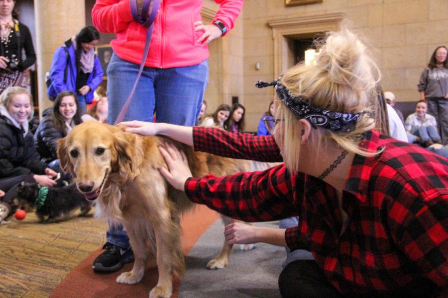 Iowa State students playing with dogs at Parks Library during the annual dead week tradition Barks at Parks on Dec. 6, 2017.