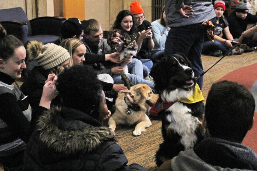 Students play with certified therapy dogs to relieve the stress of dead week. Barks@Parks is held daily during dead week in the upper rotunda of Parks Library, to help students reduce stress during the week.