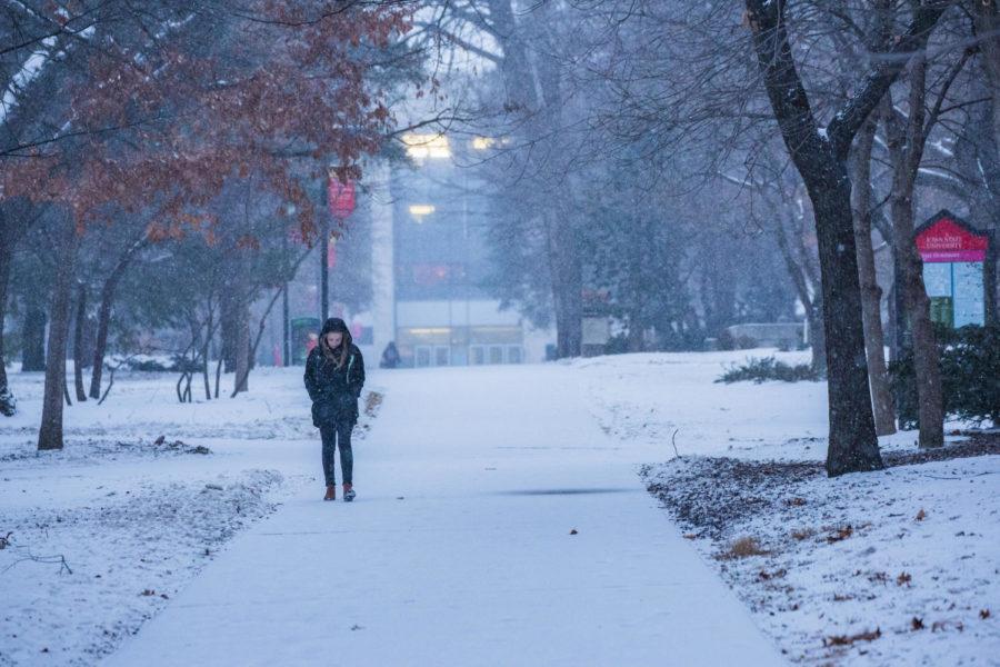 A snowy scene on the Iowa State University Campus on Jan 18th.