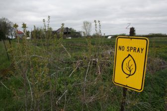 Iowa pesticide