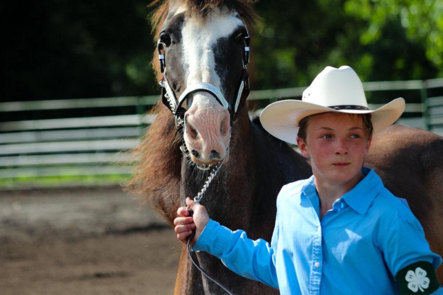 Competitor Micah Ott leads his horse to be judged during the Horse Show at the Story County Fair in Nevada on July 20. The event started at nine in the morning and ran all day. 