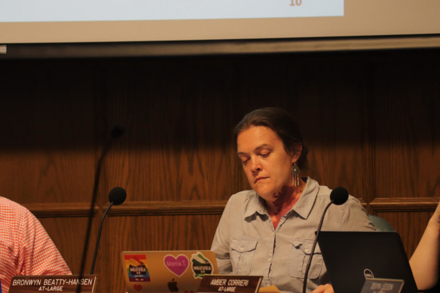 At-large Rep. Bronwyn Beatty-Hansen on June 18 at an Ames City Council meeting.