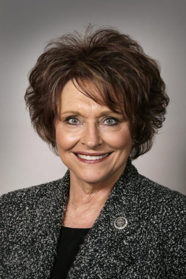 Iowa House Speaker Linda Upmeyer announced she plans to step down as Speaker at the end of 2019 and retire as a representative after her current term expires.