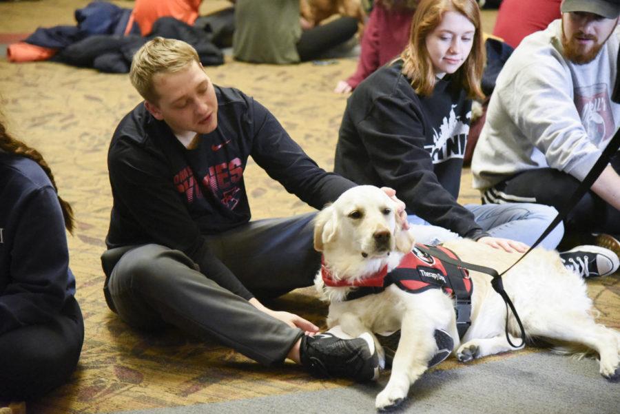 Students pet dogs at Barks at Parks during dead week.