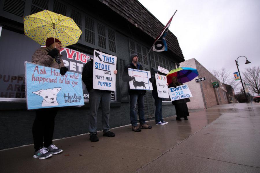 Organized protesters from the Bailing Out Benji group; Dianaia, Jason Long, Dan Stoccklein, Suzy Stoccklien, and Viki Neal gather outside of Dyvigs Pet Shoppe Saturday morning. Their protesting efforts were aimed at raising awareness for the often considered inhumane use of puppy mills.