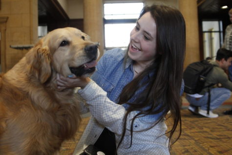 Prep week at Parks: Therapy dogs, free snacks and more