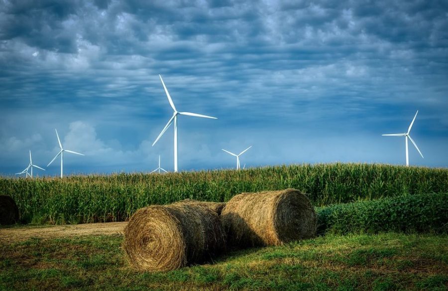 Letter writer Sehba Faheem argues that climate change is a top issue for Iowa and for the world. Faheem thinks it is important to focus on renewable energy sources, like Iowa has done using wind power.