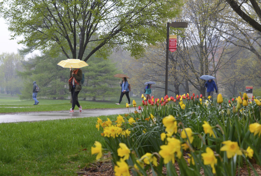 Students walk in the rain on a late April afternoon outside of the Margaret Sloss Center of Women and Gender Equity where tulips and daffodils are blooming, despite the gloomy weather.