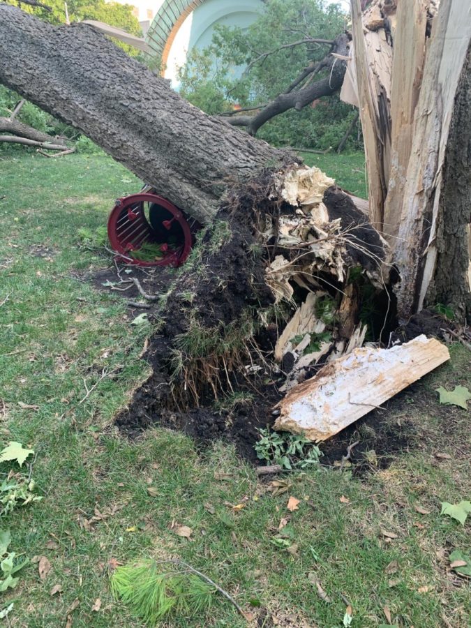 Widespread tree damage was a result of a severe storm that hit central Iowa on  Monday. The City of Ames will make a decision for a public drop-off site for tree branches on Tuesday.