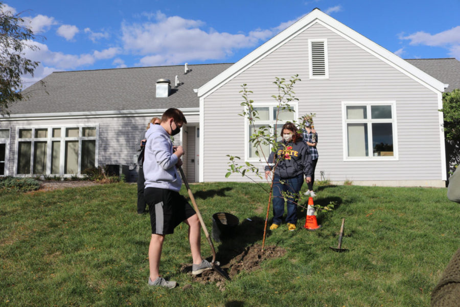Trees and shrubs were planted by leadership and learning sciences students to bring community together and diversify the environment.