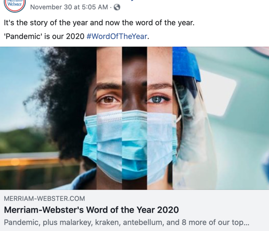 Merriam-Webster chose pandemic as their 2020 word of the year but mentioned the words defund, quarantine and icon as being noteworthy.