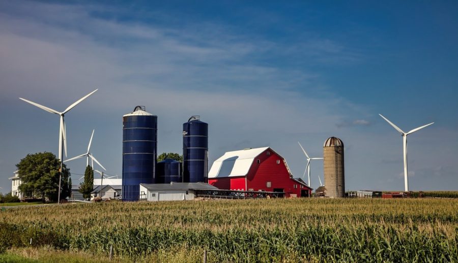 Letter writer Joe Monahan describes how big corporations are ruining agriculture practices and healthy environmental conditions in Iowa. 