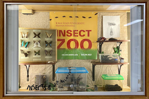 Iowa States Insect Zoo presented all sorts of bugs at an insect film festival.